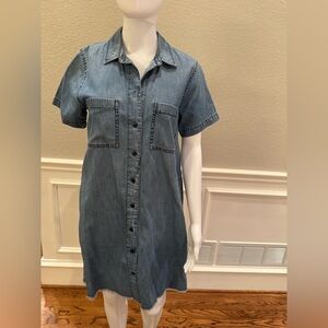 Denim Button-Up Dress